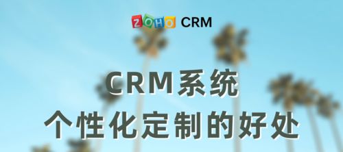 个性化定制CRM系统有什么好处